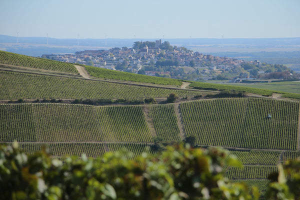 Domaine Michel Girault